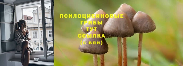 винт Михайловка