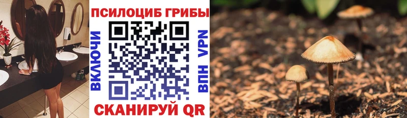 mega ТОР  Заозёрск  Галлюциногенные грибы Psilocybine cubensis 